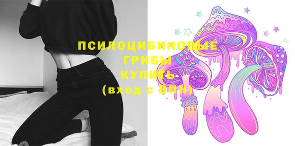 винт Тихвин