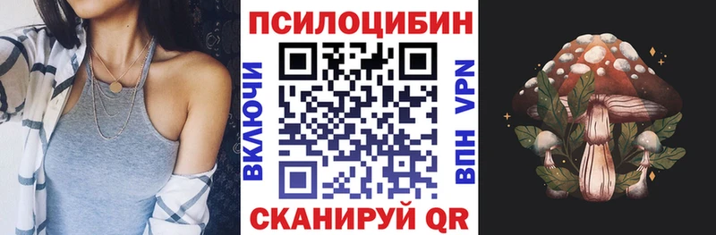 Купить закладки  Озёры  Псилоцибиновые грибы прущие грибы 